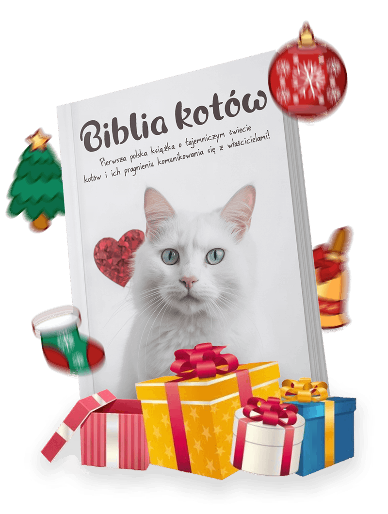 biblia-kotówoooo-1-converted.png__PID:e7c34107-7a24-4f3f-9cbb-3d053898f4e2