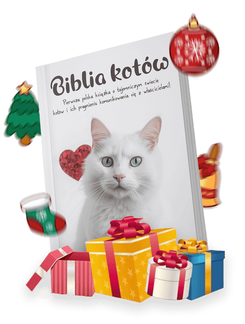 biblia-kotówoooo-1-converted.png__PID:e7c34107-7a24-4f3f-9cbb-3d053898f4e2