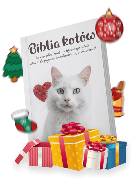 biblia-kotówoooo-1-converted.png__PID:e7c34107-7a24-4f3f-9cbb-3d053898f4e2